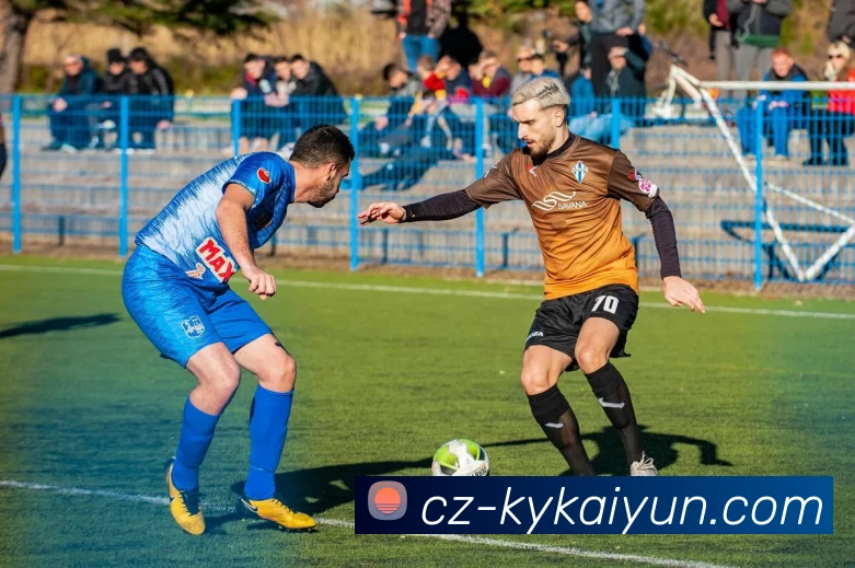 开云体育登录服务体系